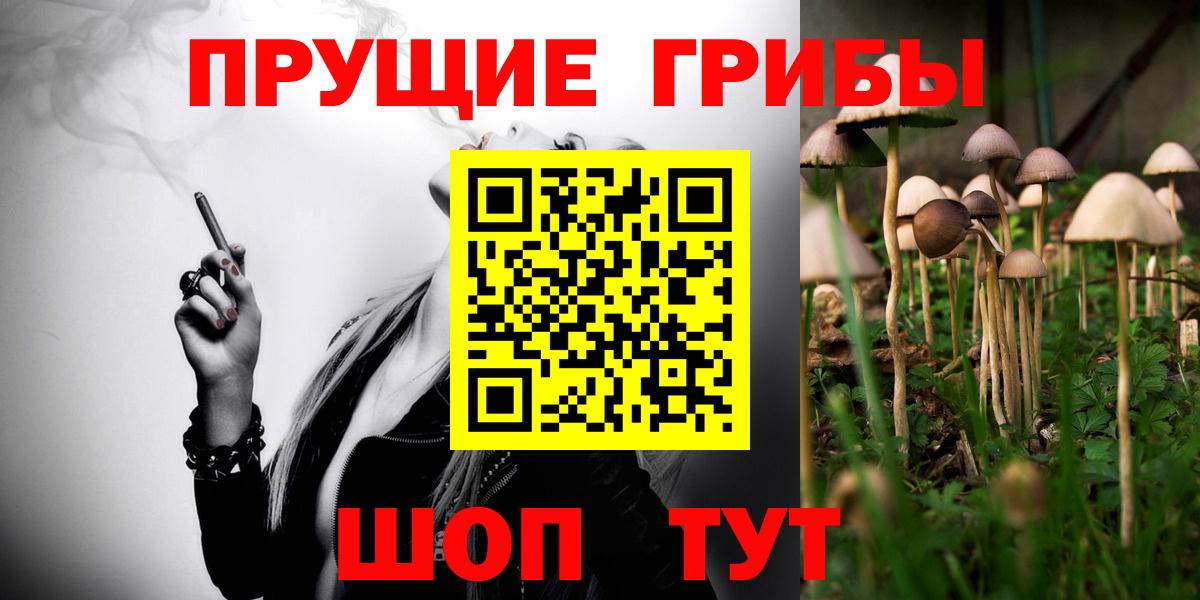 Усинск  Псилоцибиновые грибы MAGIC MUSHROOMS  где найти   Вход с VPN 