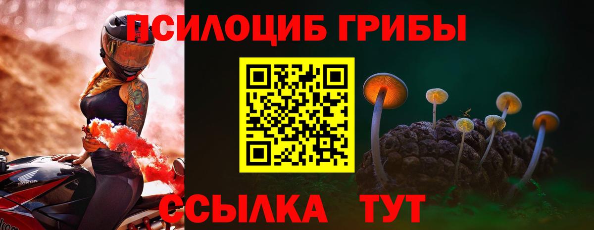 Псилоцибиновые грибы Psilocybine cubensis Усинск